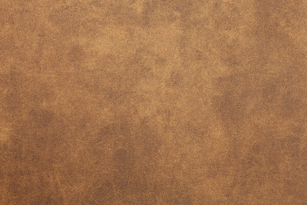 Oakland Tan 2 Seater Sofa - Image 6